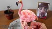 EATING FLAMINGO ICE CREAM!! Kluna Tik Dinner  ASMR eating sounds no talk flamingo albert