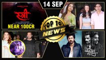 Salman - Iulia Ganpati Aarti, Malaika Ignores Arbaaz, Stree 100 Crores & More | Top 10 News