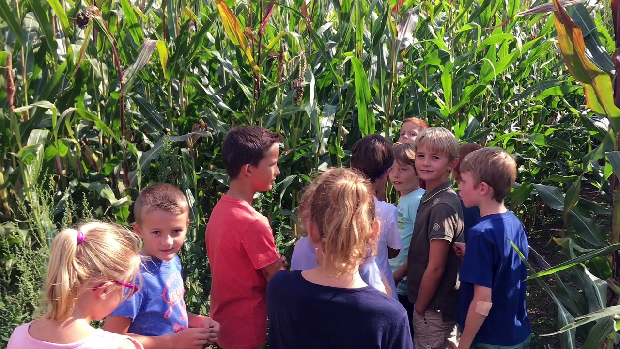 Le labyrinthe de Moxhe élucidé par une classe du village