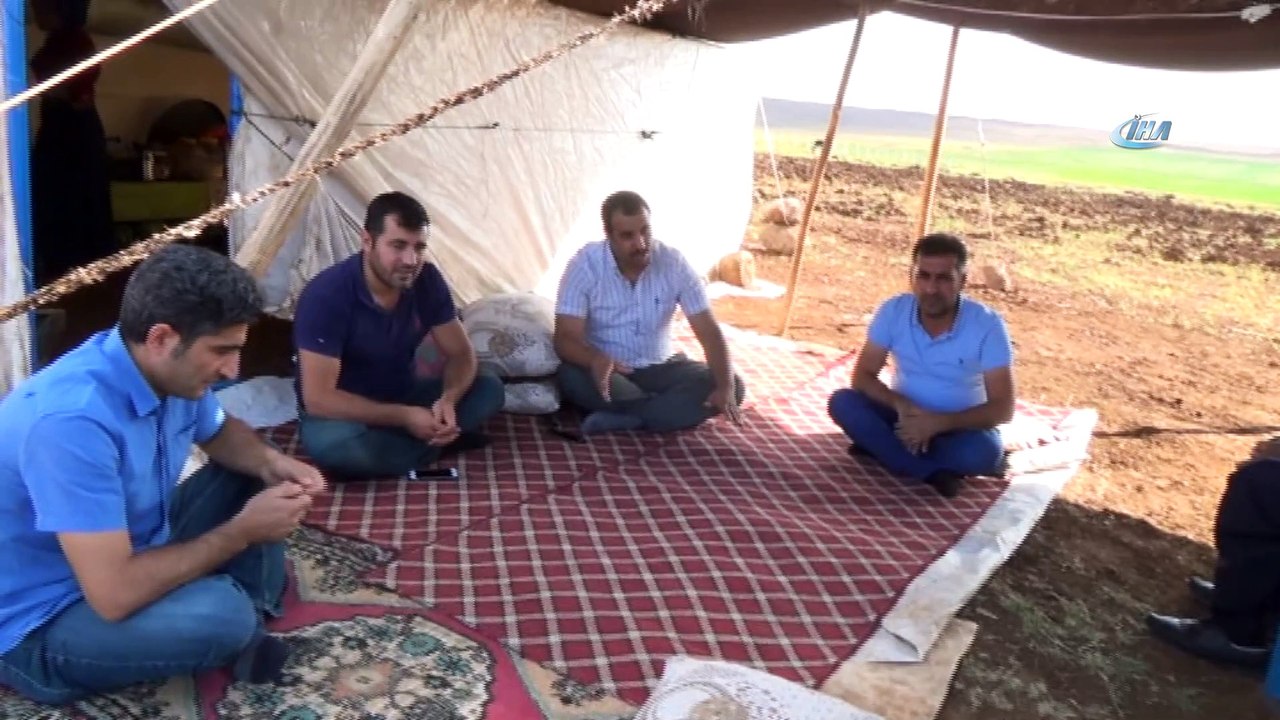 Çobanlık yaparken üniversiteye hazırlanan Musa diş hekimliğini kazandı