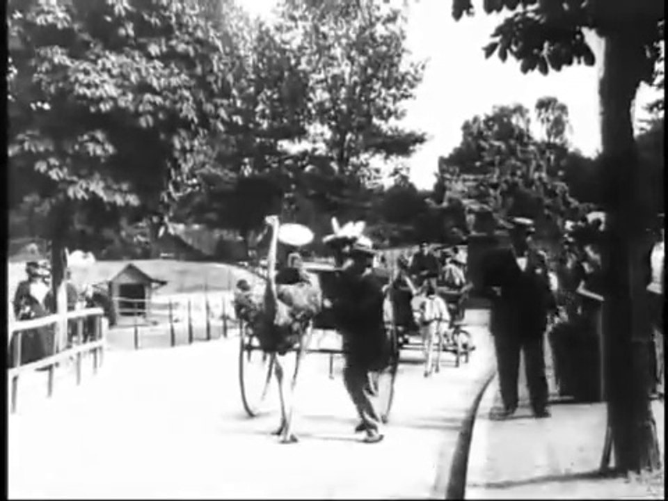 Auguste & Louis Lumière: Autruches (1896)