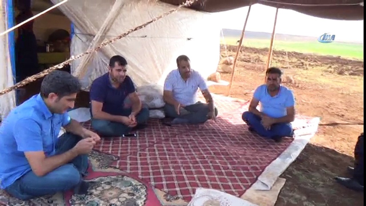 Çobanlık Yaparken Üniversiteye Hazırlanan Musa Diş Hekimliğini Kazandı