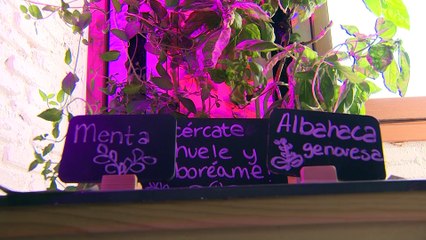 Un jardín colaborativo de arte efímero toma Conde Duque