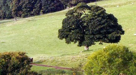Lark Rise To Candleford S02 E12