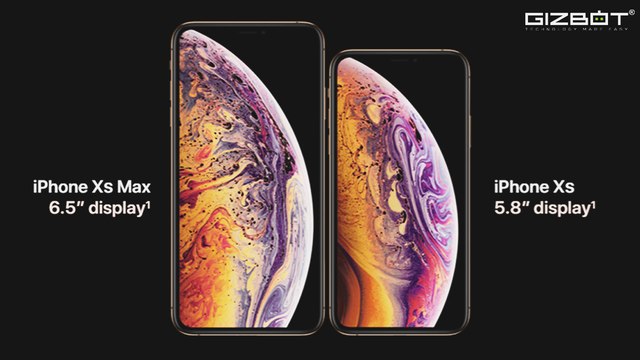 How Apple iPhone XS, XS Max and XR is different from the iPhone X