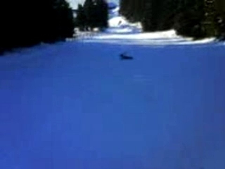 Snowscoot0