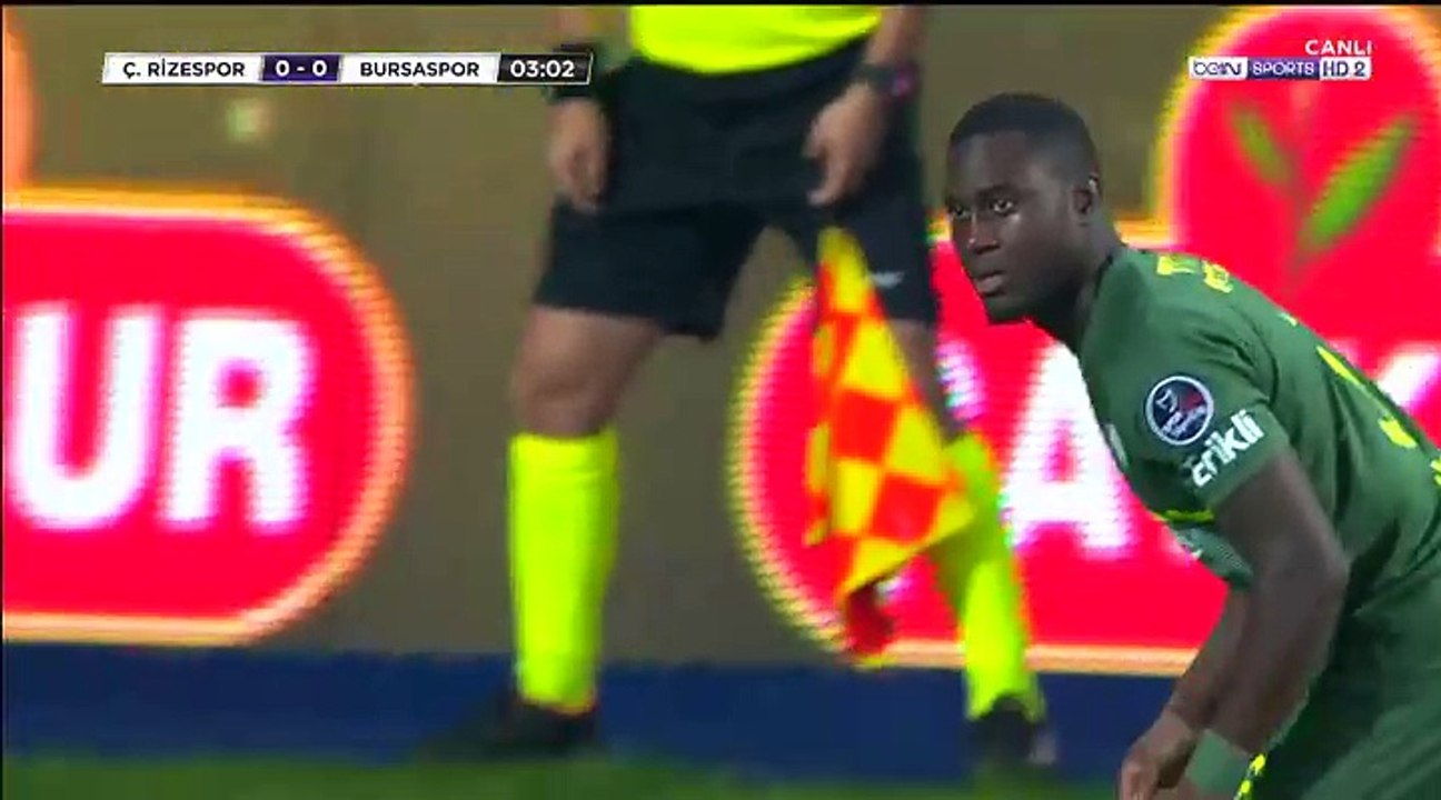 saivet rize