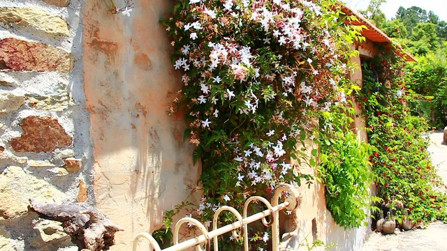 Yoga Evolution Retreats Portugal