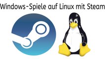 [TUT] Windows-Spiele auf Linux mit Steam zocken [4K | DE]