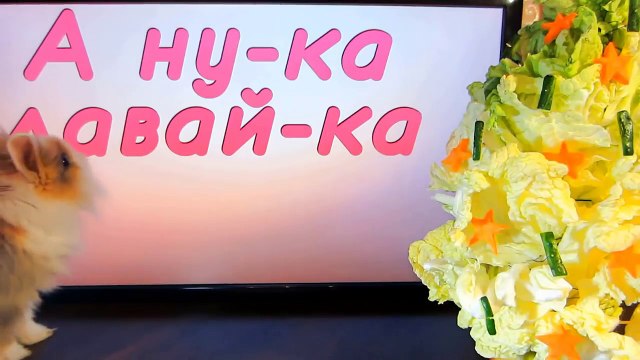 ШКОЛА КОТОВ : ВСЕ СЕРИИ ПОДРЯД! КОШЕЧКА МУРКА и КОТ МАЛЫШ ШКОЛЬНИКИ! СБОРНИК ПРО КОТОВ как МУЛЬТИК