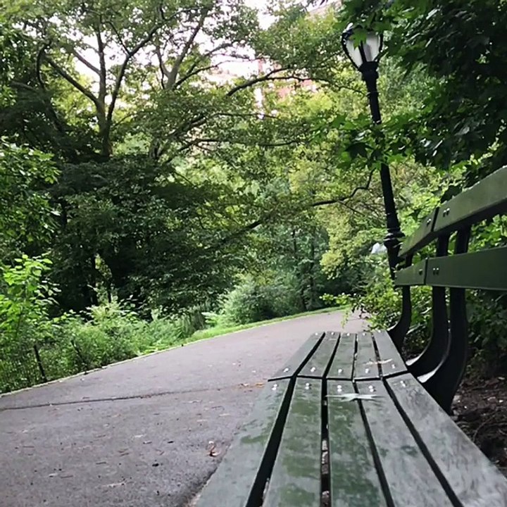Video de muestro paseo