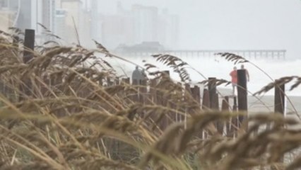 Cerca de un millón siguen sin electricidad por Florence en el sureste de EEUU