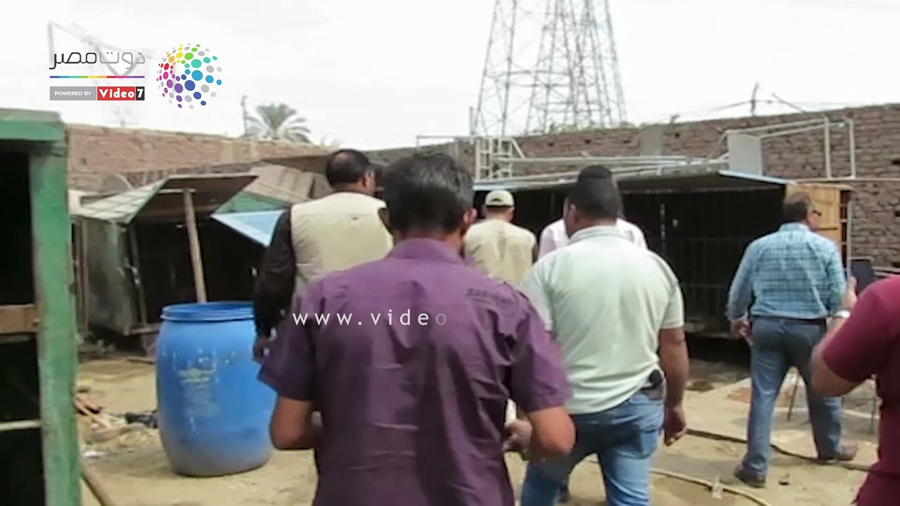 ضبط خمسة أسود أفريقية داخل هنجر بمنطقة الخانكة...