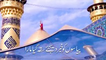Nohay 2018 - Dariya Pe Gira arsh e ilaahi ka sitara | Zaigham Abbas Rizvi