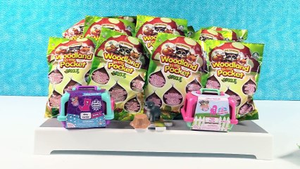 Woodland In My Pocket Palooza + Kitty Puppy Toy Review _ PSToyReviews