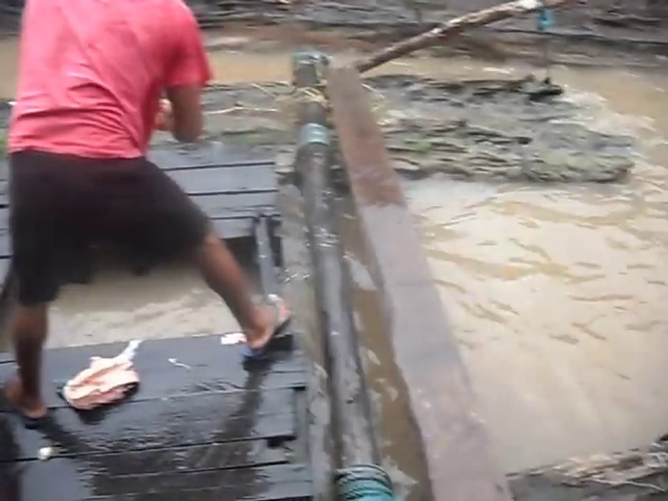 Il attire des centaines de poissons-chats piracatinga très vorace... Pire que des piranhas