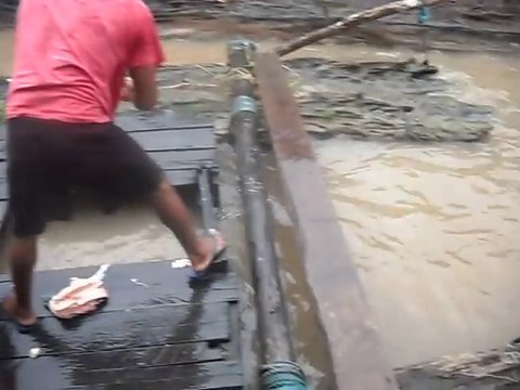 Il attire des centaines de poissons-chats piracatinga très vorace... Pire que des piranhas