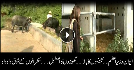 Structure of PM House witness to Pakistan's political history