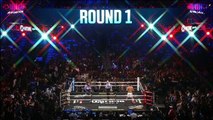 Adrien Broner vs Jessie Vargas- Full Fight 2018