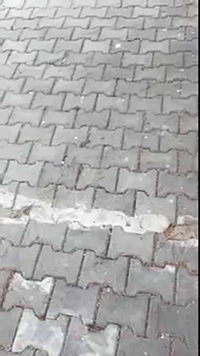 asd