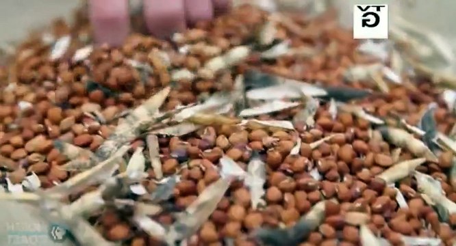 A Chefs Life S04 E03 Peas, Please
