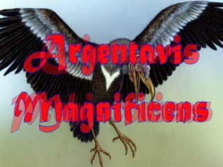 Criaturas Prehistoricas - Argentavis Magnificens