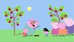 Peppa Pig English Es | Peppa Pig goes swimming | #PeppaPig part 2/2