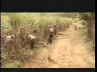 Comandante Che Guevara