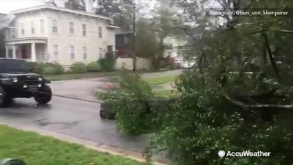Watch this Jeep tow enormous downed tree off the road