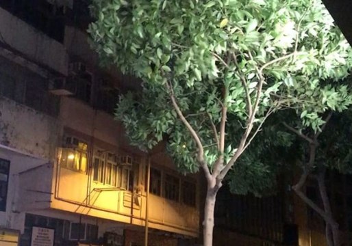 High Winds Whip Hong Kong as Typhoon Mangkhut Approaches