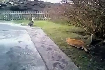 강원랜드카지노☎ https://yes848.com ☎예스카지노슬롯*☆*아시안카지노\사설카지노딜러