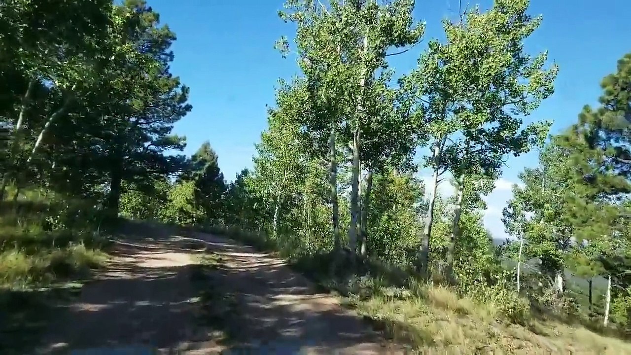 Chased out by the tweaker - Full time van life