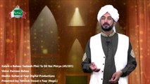 Kalam e Bahoo-Tasbeeh Phiri Te Dil Nain Phirya (49/201)