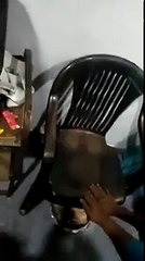 കസേരയിൽ കണ്ട മാതാവിന്റെ രൂപം കാണാൻ വന്ന ജനങ്ങളെ കണ്ടു നോക്കൂ