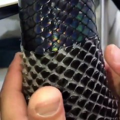 Deri değiştiren dev piton