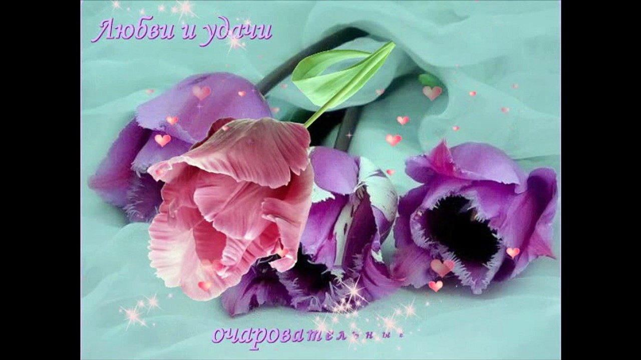 С 8 Марта!