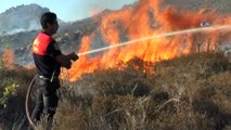 Bodrum’daki orman yangınına havadan ve karadan müdahale