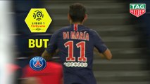 But Angel DI MARIA (76ème) / Paris Saint-Germain - AS Saint-Etienne - (4-0) - (PARIS-ASSE) / 2018-19