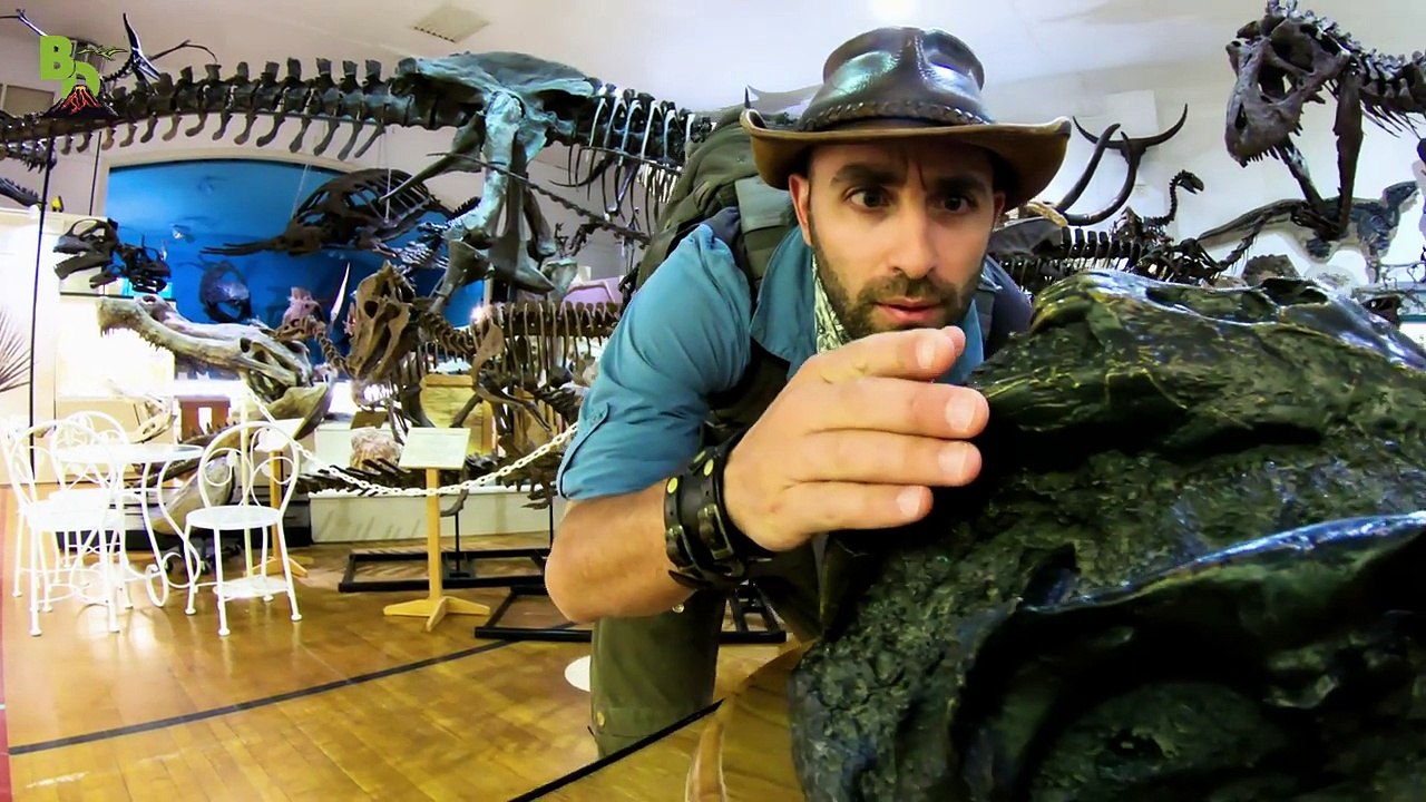 PROOF...Dinosaurs had FEATHERS!