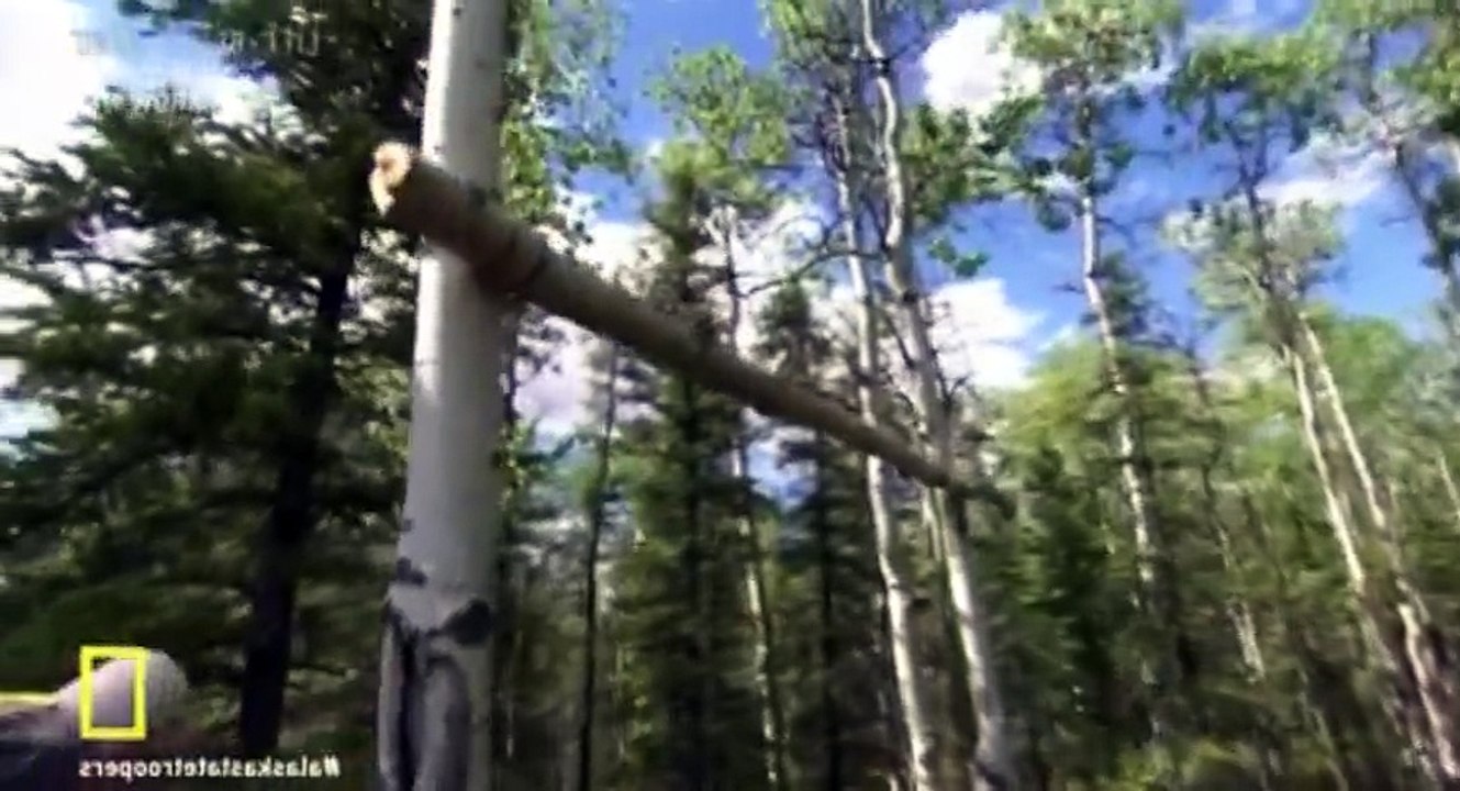 Alaska State Troopers S07 - Ep12 Drugged, Drunk and Deranged HD Watch