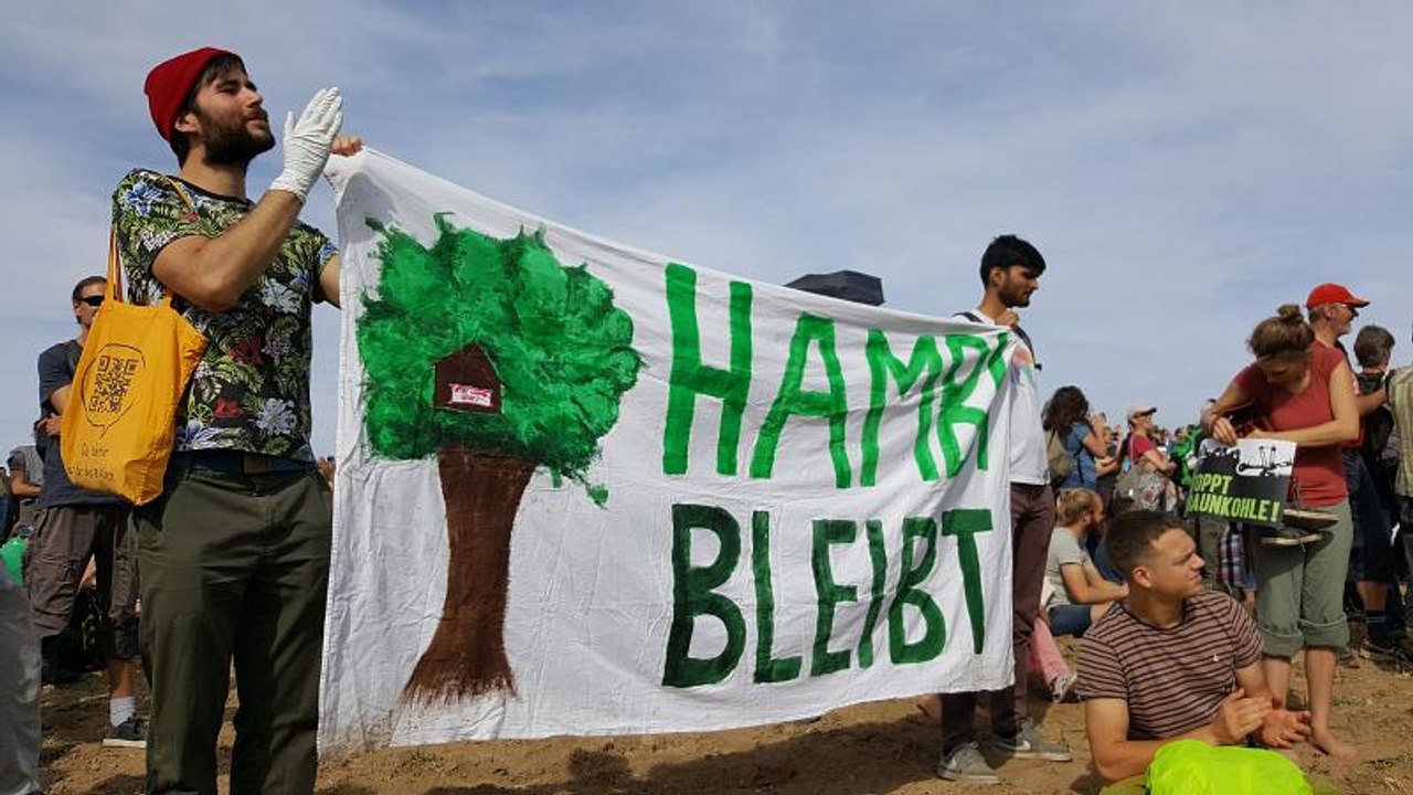 Hambacher Forst: Die Kohlefrage spaltet die Geister