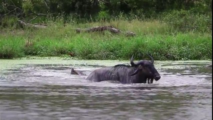 Ninguém Imaginava o que Aconteceria