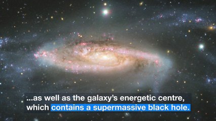 El ESO nos muestra una JOYA GALÁCTICA la galaxia NGC 3981 en nuestro barrio cósmico