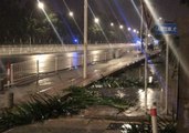 Typhoon Mangkhut Winds Leave Trees Astrew in Zhuhai