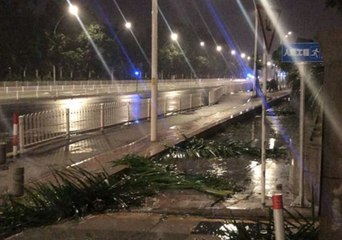 Typhoon Mangkhut Winds Leave Trees Astrew in Zhuhai