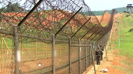 DMZ 지뢰제거...경원선 복원 열쇠되나? / YTN