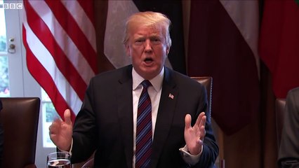 Trump- 'We're going to be guarding our border with military' - BBC News