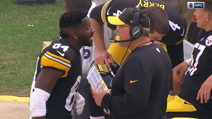 Antonio Brown gets heated with OC Randy Fichtner on sideline