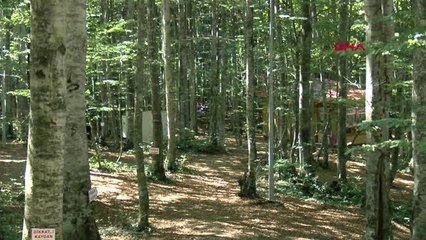 Kocaeli Res'lere Karşı Ağaçlara El Ele Tutuşarak Korudular Hd