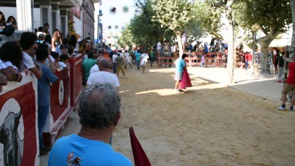 Start of bulls on Monday in Moita do Ribatejo